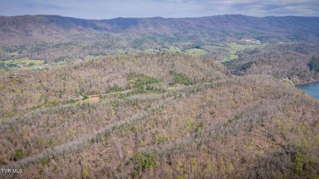 20/AC TBD E Of Highway 67, Butler, TN 37640 - photo 14