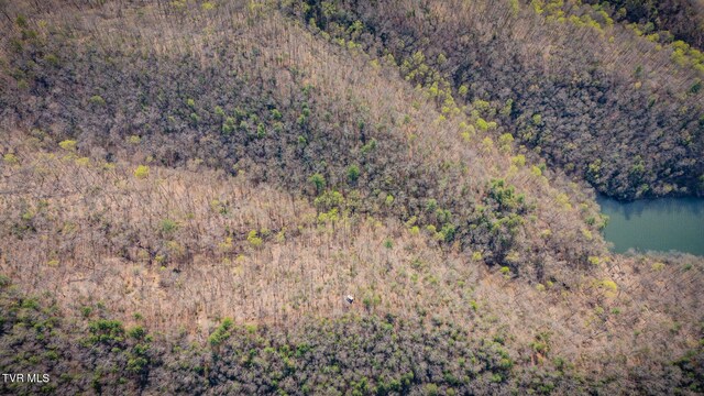 20/AC TBD E Of Highway 67, Butler, TN 37640 - photo 15