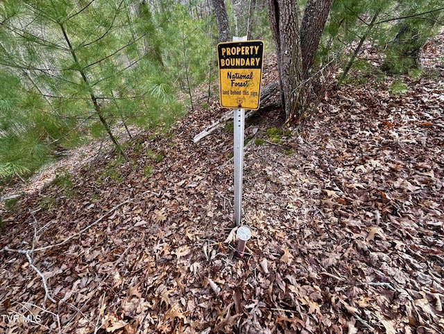 20/AC TBD E Of Highway 67, Butler, TN 37640 - photo 17