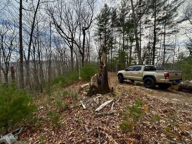 20/AC TBD E Of Highway 67, Butler, TN 37640 - photo 20