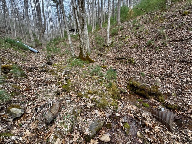 20/AC TBD E Of Highway 67, Butler, TN 37640 - photo 22
