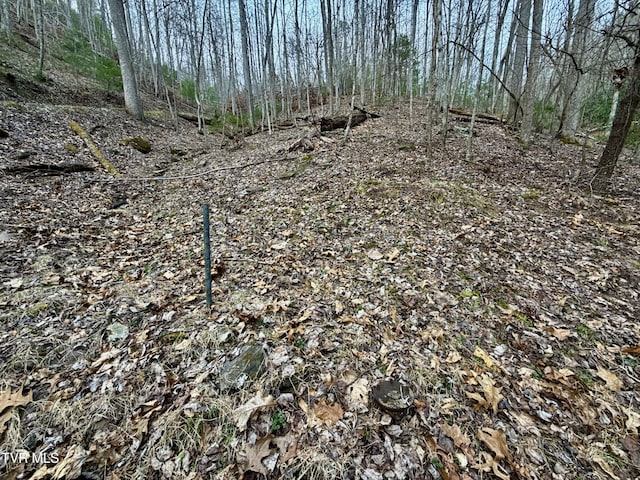 20/AC TBD E Of Highway 67, Butler, TN 37640 - photo 23