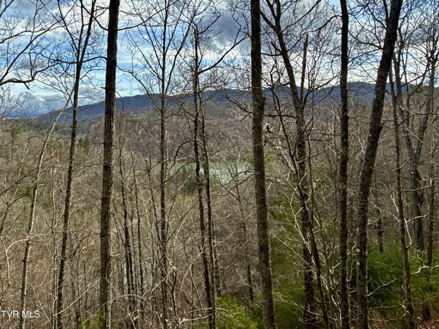 20/AC TBD E Of Highway 67, Butler, TN 37640 - photo 24