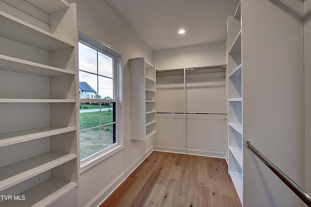 2442 Haystack Cir, Piney Flats, TN 37686 - walk in closet with wood finished floors