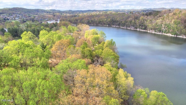 712 Lake Point Dr, Piney Flats, TN 37686 - photo 5