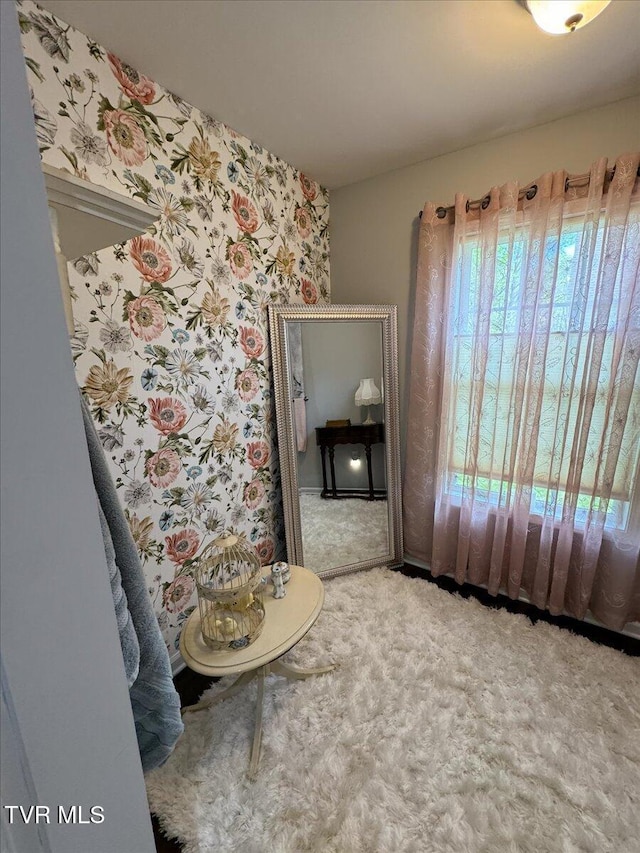 712 Lake Point Dr, Piney Flats, TN 37686 - photo 33