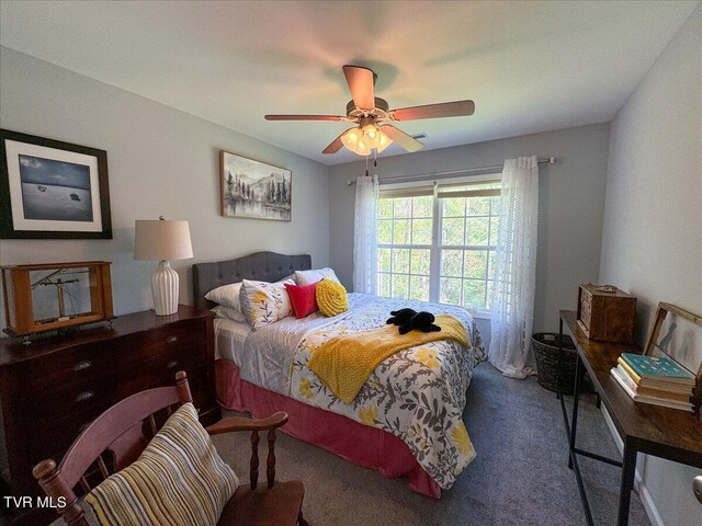 712 Lake Point Dr, Piney Flats, TN 37686 - photo 26