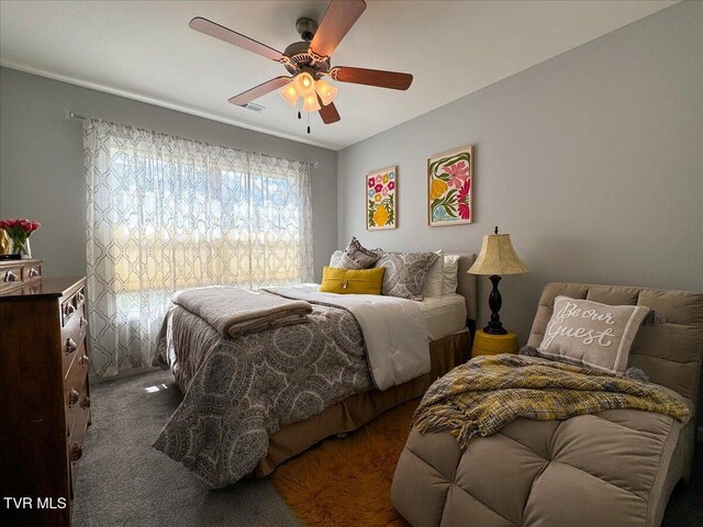 712 Lake Point Dr, Piney Flats, TN 37686 - photo 27