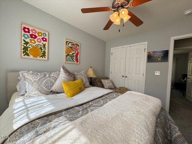 712 Lake Point Dr, Piney Flats, TN 37686 - photo 28