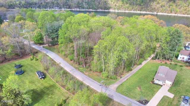 712 Lake Point Dr, Piney Flats, TN 37686 - photo 38