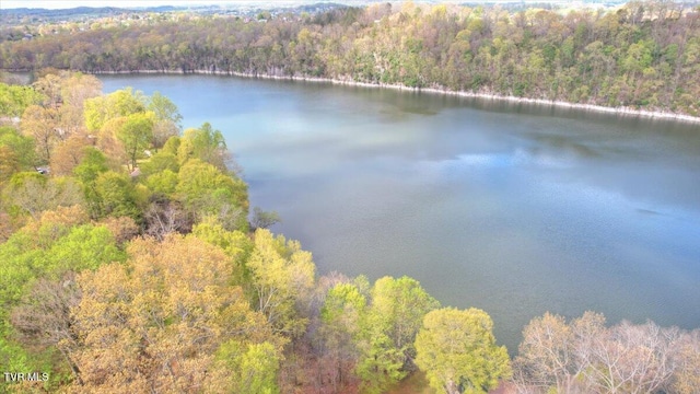 712 Lake Point Dr, Piney Flats, TN 37686 - photo 39