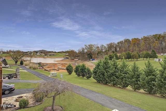 798 Hamilton Rd, Blountville, TN 37617 - surrounding community featuring a lawn and view of scattered trees