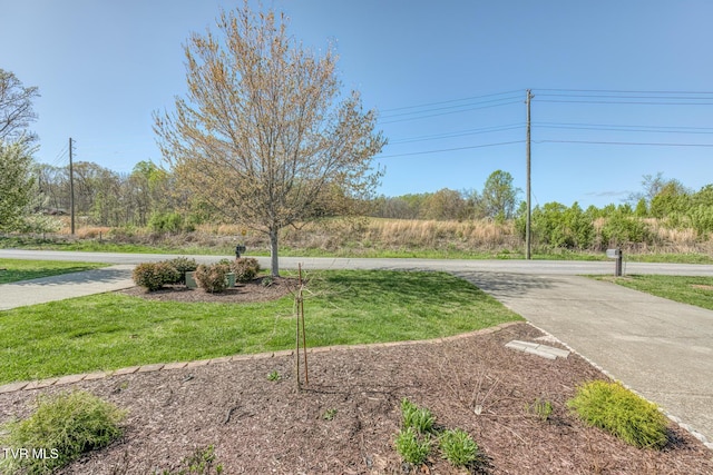 798 Hamilton Rd, Blountville, TN 37617 - view of concrete road