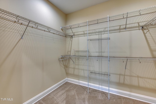 798 Hamilton Rd, Blountville, TN 37617 - walk in closet featuring carpet