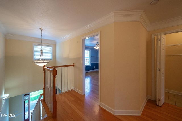 corridor with crown molding, light wood-type flooring, and an upstairs landing
