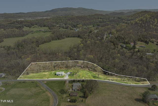 aerial view with a forest view and a mountain view