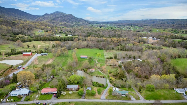 birds eye view of property featuring a mountain view