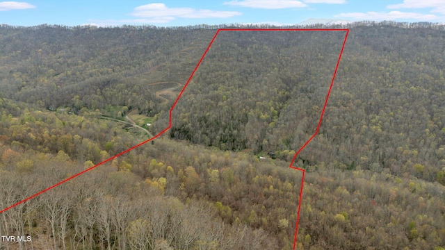 drone / aerial view featuring a mountain view and a view of trees