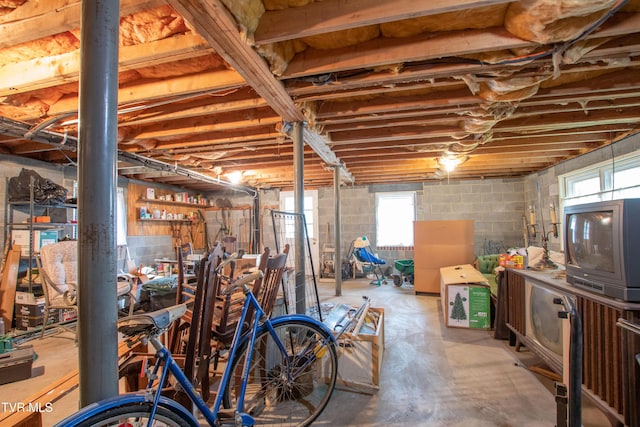 19494 Oakwood Dr, Abingdon, VA 24211 - basement with healthy amount of natural light and concrete block wall