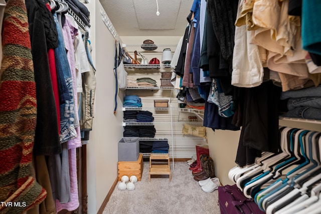 spacious closet with carpet floors