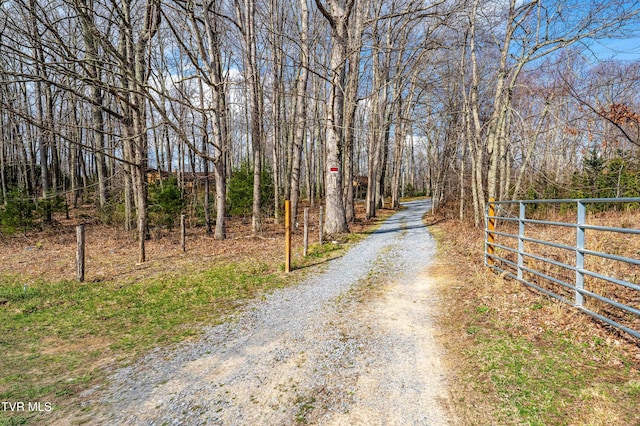 view of street with a wooded view