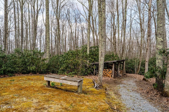 view of property's community
