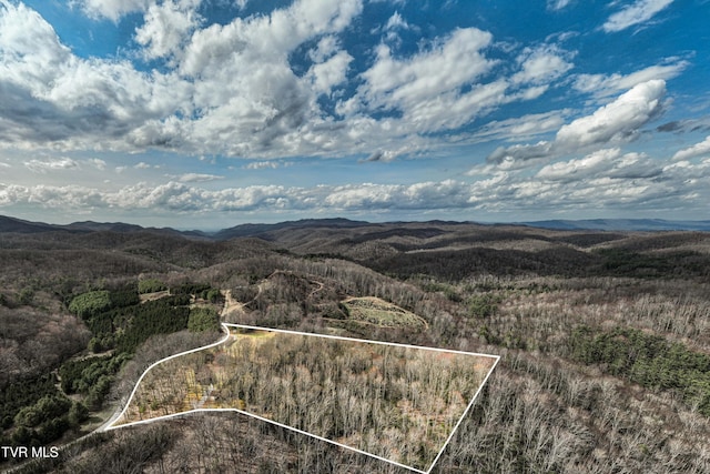 bird's eye view featuring a mountain view