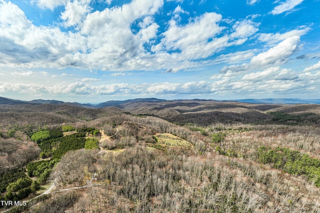 property view of mountains