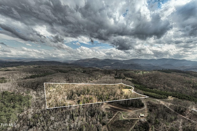 drone / aerial view with a mountain view