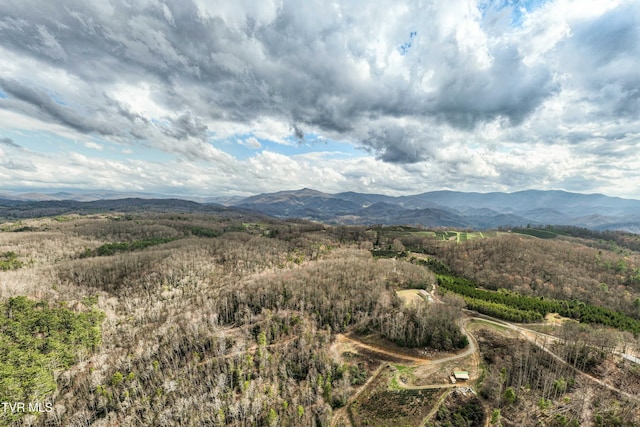 mountain view