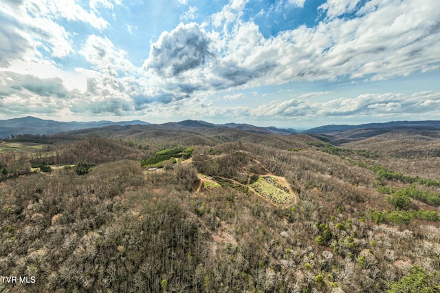 view of mountain feature