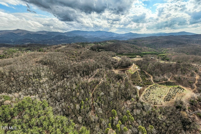 view of mountain feature