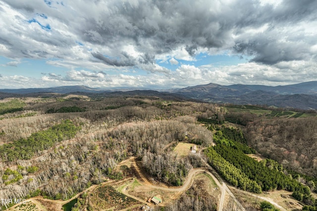 birds eye view of property with a wooded view and a mountain view