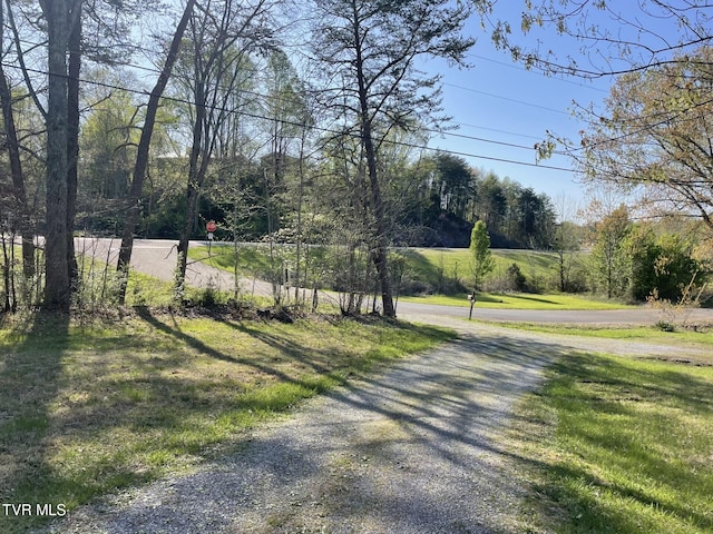 403 Morningside Dr, Rogersville, TN 37857 - photo 10