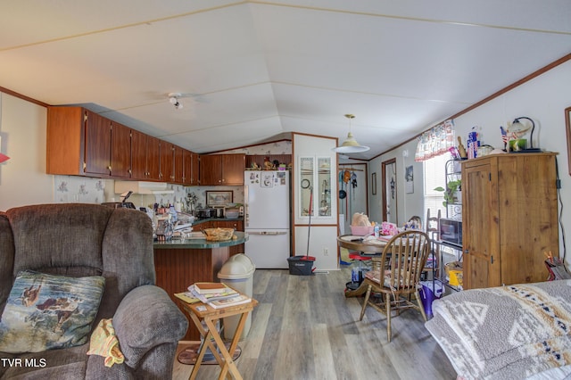 90 Darnell Rd, Greeneville, TN 37743 - kitchen with freestanding refrigerator, dark countertops, a peninsula, light wood finished floors, and lofted ceiling