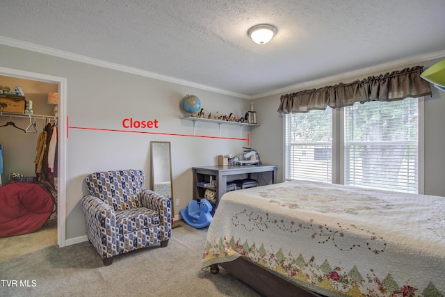 90 Darnell Rd, Greeneville, TN 37743 - bedroom featuring ornamental molding, a closet, a spacious closet, and carpet