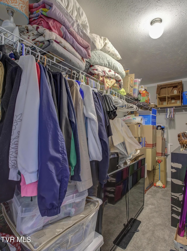 90 Darnell Rd, Greeneville, TN 37743 - spacious closet featuring carpet floors