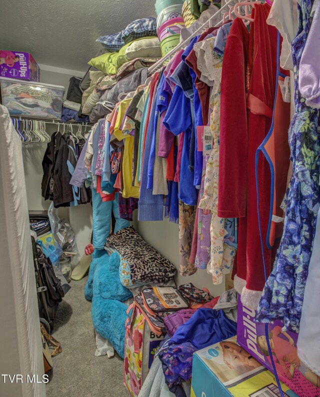 90 Darnell Rd, Greeneville, TN 37743 - walk in closet featuring carpet flooring