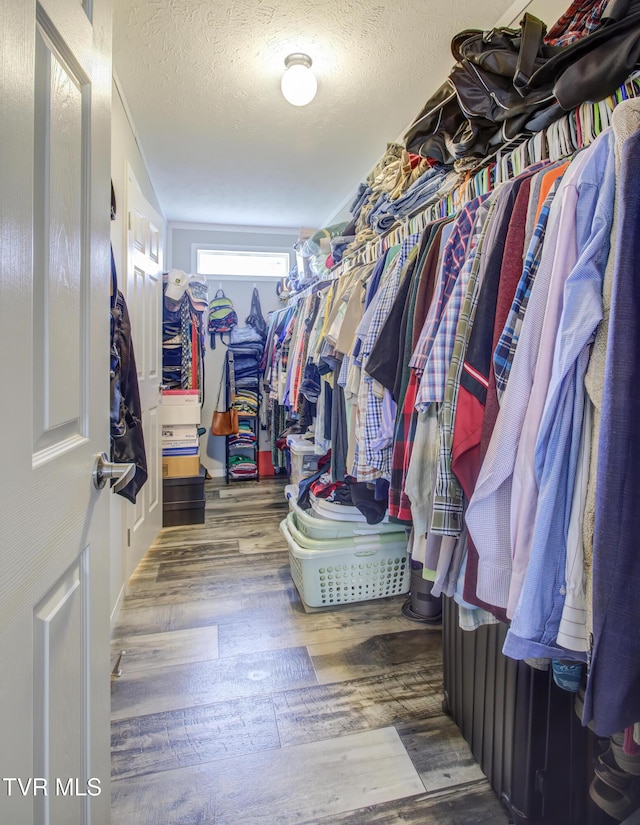 90 Darnell Rd, Greeneville, TN 37743 - spacious closet with hardwood / wood-style flooring
