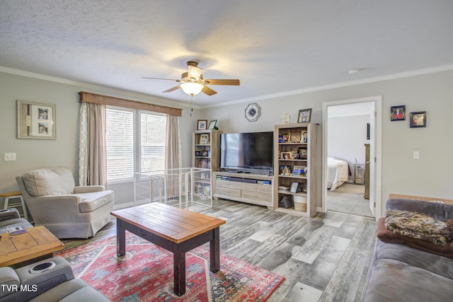 90 Darnell Rd, Greeneville, TN 37743 - living area featuring light wood-style flooring, a textured ceiling, ornamental molding, and a ceiling fan