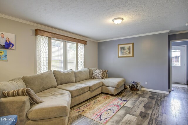 90 Darnell Rd, Greeneville, TN 37743 - living room with crown molding, wood-type flooring, plenty of natural light, and a textured ceiling