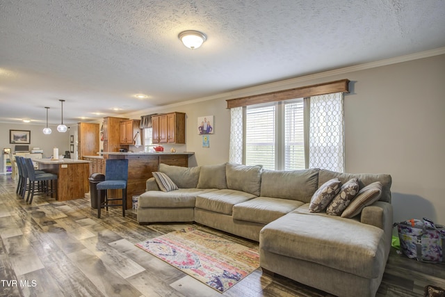 90 Darnell Rd, Greeneville, TN 37743 - living area featuring crown molding, wood finished floors, and a textured ceiling