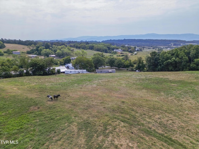 90 Darnell Rd, Greeneville, TN 37743 - bird's eye view with a rural view and a mountain view