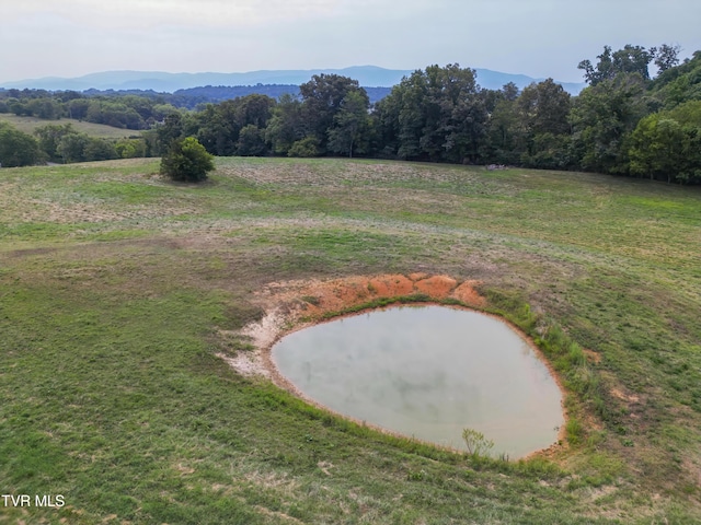 90 Darnell Rd, Greeneville, TN 37743 - view of mountain feature featuring a forest view
