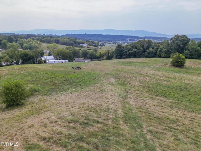 90 Darnell Rd, Greeneville, TN 37743 - view of mountain feature with a rural view