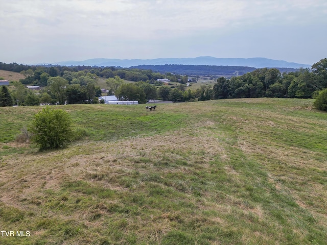 90 Darnell Rd, Greeneville, TN 37743 - view of mountain feature featuring a rural view