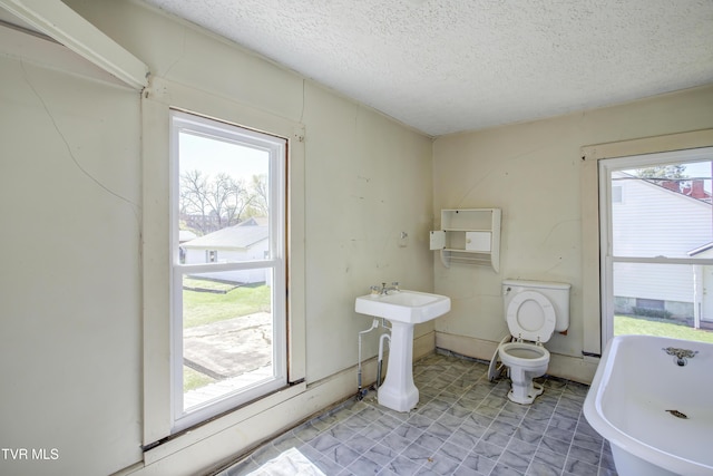 full bath featuring toilet, a textured ceiling, a freestanding tub, and a sink