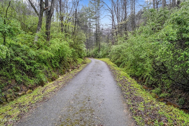 0 Gilliam Hollow Rd, Pound, VA 24279 - photo 23