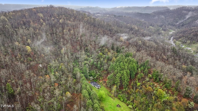 0 Gilliam Hollow Rd, Pound, VA 24279 - photo 26