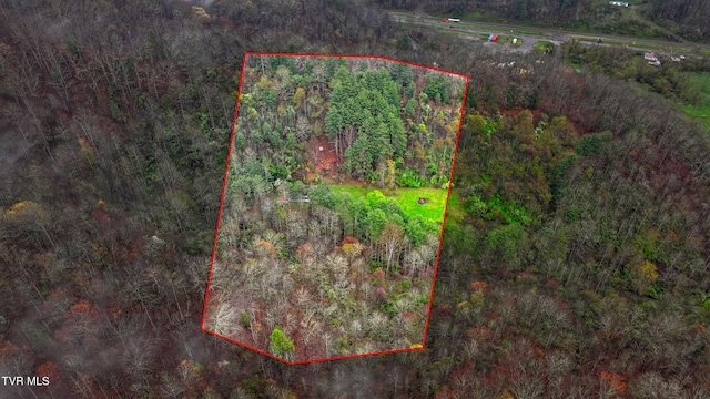 0 Gilliam Hollow Rd, Pound, VA 24279 - photo 27